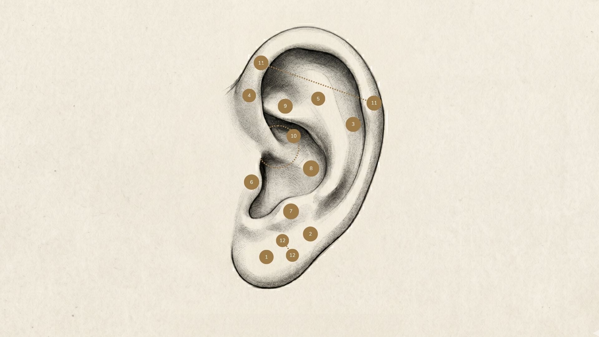 A Complete Guide to Ear Piercing Placements