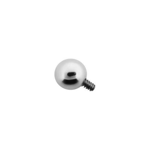Silver screw on a white background
