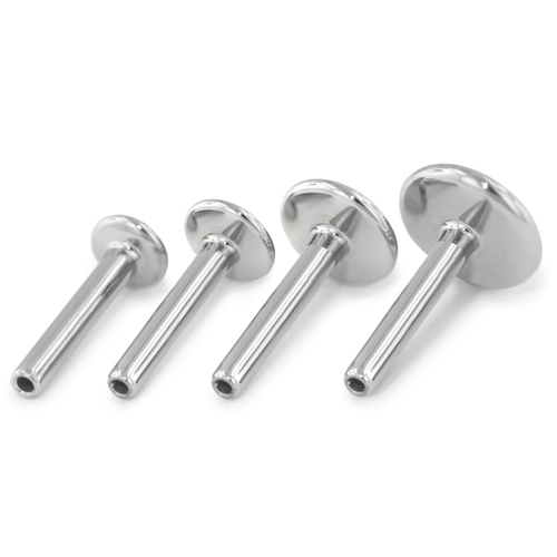 Set of five silver labrets on a white background